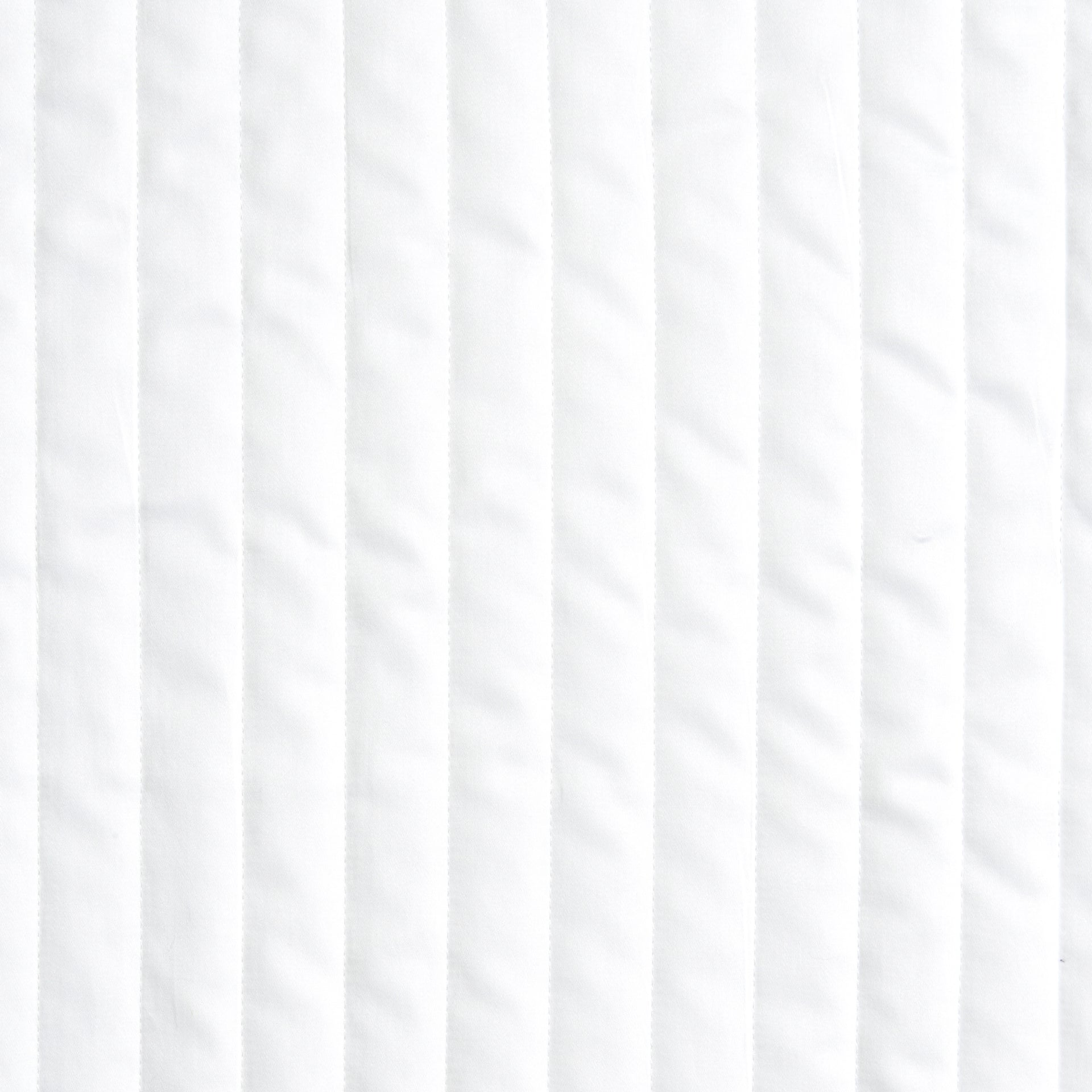 White - Blanc
