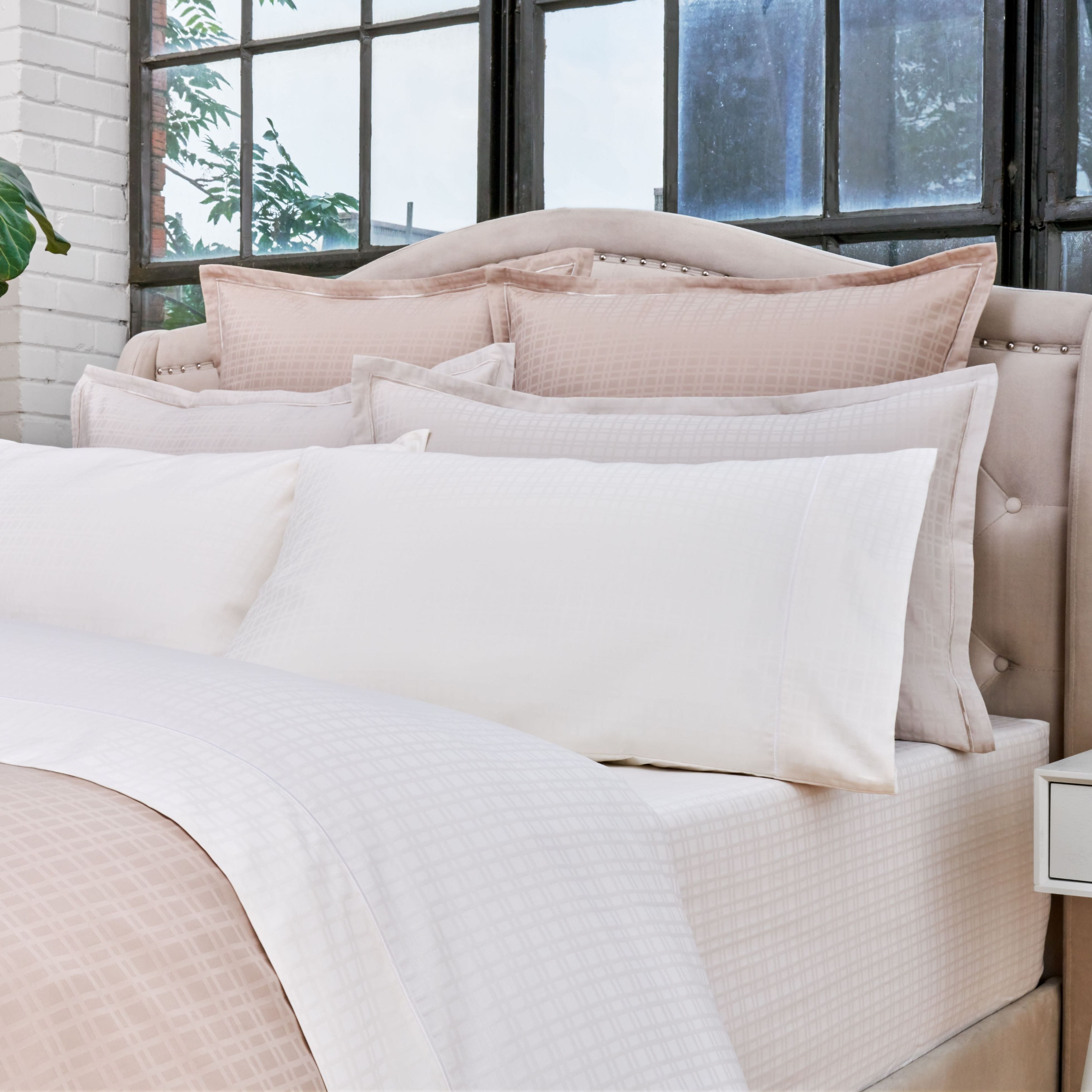 Renaissance Collection: Quattro