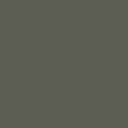 Lead Grey - Gris acier
