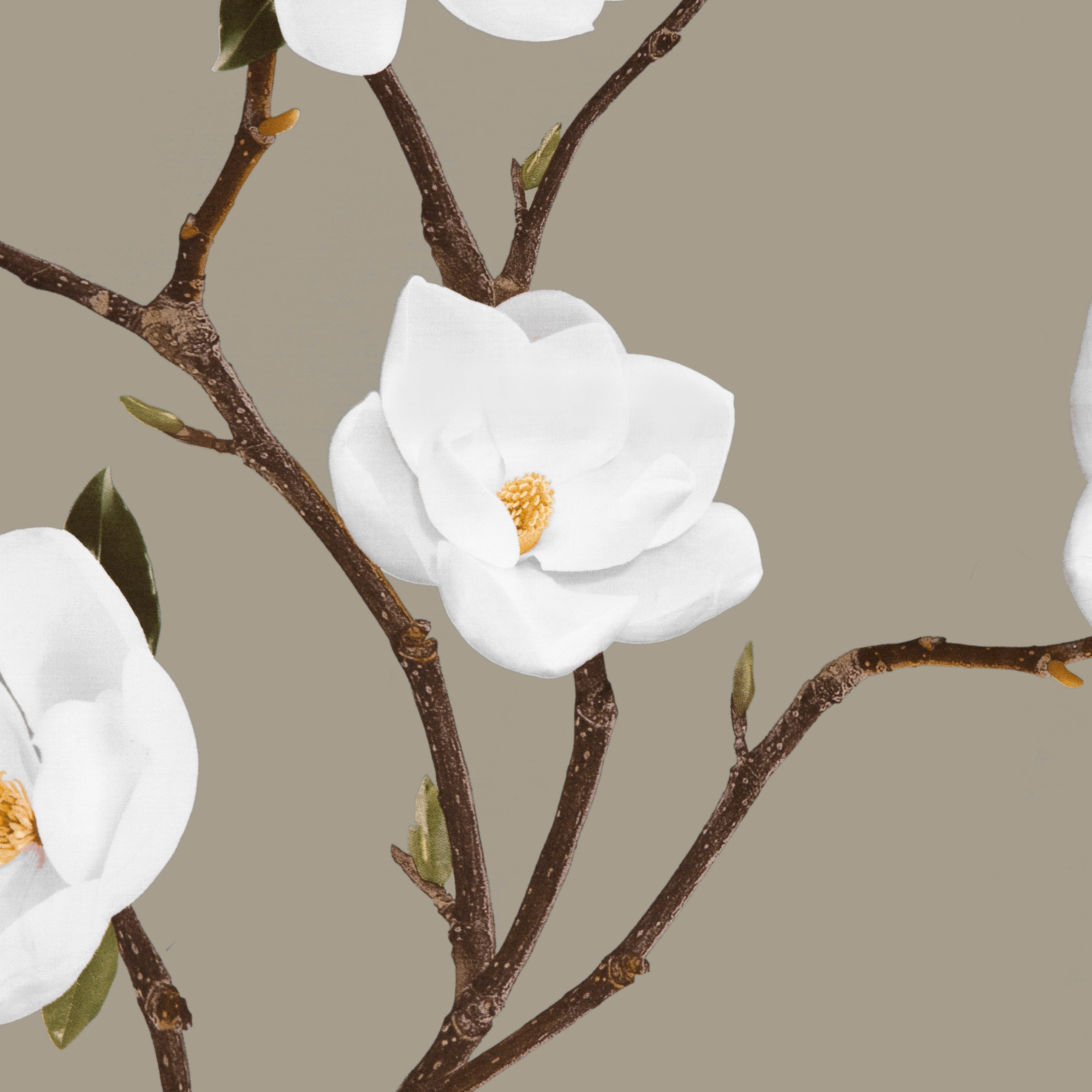 Khaki White