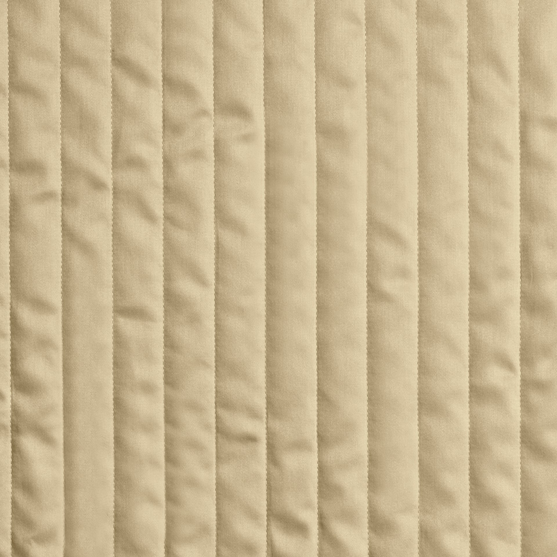 Taupe - Taupe