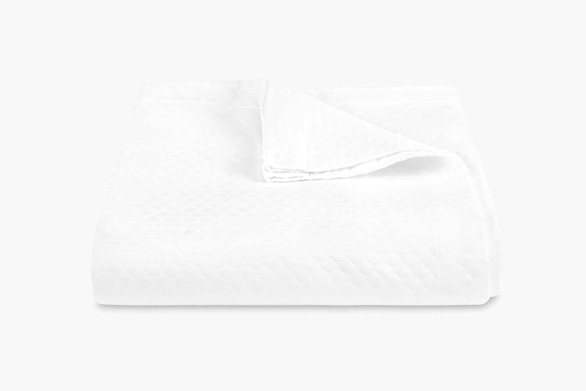 White - Blanc