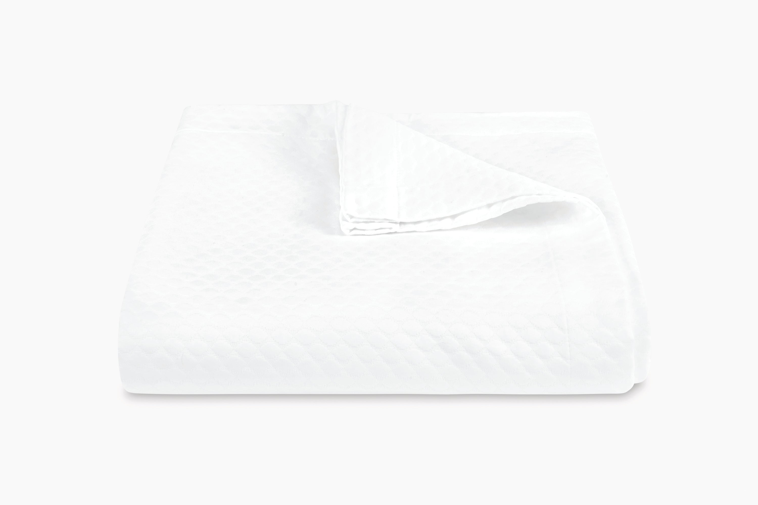 White - Blanc