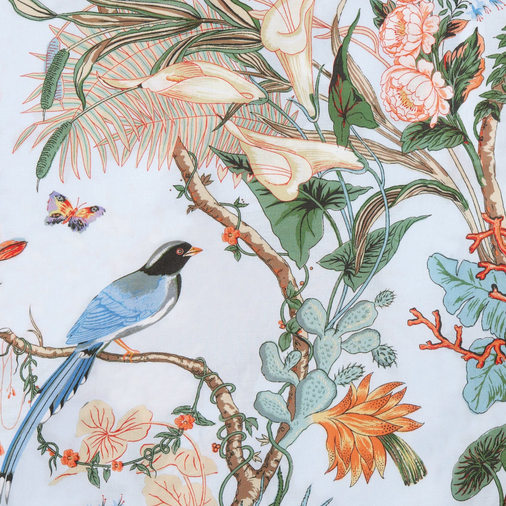 Cinque-Terra by Sferra