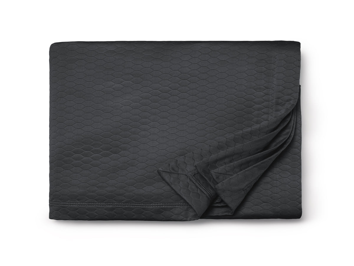 Charcoal - Charbon